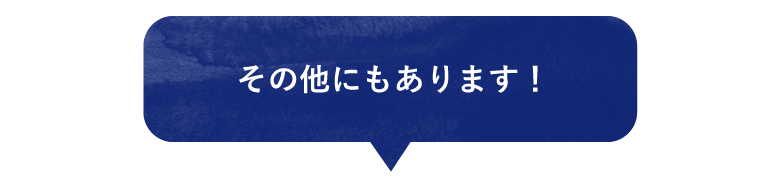 その他にもあります！