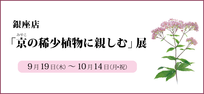 201909ginza_kishoushokubutu.jpg